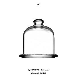 397.jpg